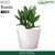 GTC 16" Multi Color Roto Konic Pot Suitable for Home, Gardens, Hotels and Resorts Decoration(Color-Sandstone)