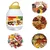High Quality Plastic Round Jars Set 500ml to 8000ml (Pack of 9)
