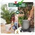Ecofynd Spinx Round Metal Plant Stand for Indoor & Outdoor Pots-Caddy Rolling Wheels Plant Holder for Garden & Patio