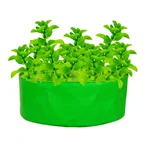 Gardeco 260 GSM UV Treated Premium Quality 24 x 6 inch Round Type HDPE Grow Bag for Home, Garden and Nursery