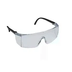 RPES Clear Polycarbonate Safety Goggles
