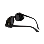RPES Curve Welding Safety Goggles | Universal Fit | Curve Plastic Glass
