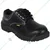 Heavy Duty Pack of 24 Industrial Leather Safety Shoe With Steel Toe Cap - 1 Carton(Size-7)