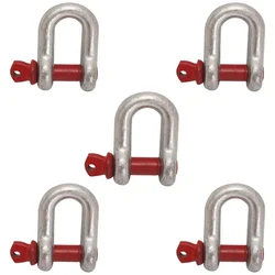 Heavy Duty G80 Alloy Steel 3.25 Ton Screw Pin Type D Shackle (Pack of 5 pcs)