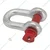 Heavy Duty G80 Alloy Steel 3.25 Ton Screw Pin Type D Shackle (Pack of 5 pcs)
