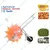 Agriculture Manual Hand Operated Seeding Machine, 12 Teeth Manual Seeder, Plant Seed Spreader, Garden Tool