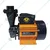 Kirloskar 1Hp Single Phase Self Priming Monoblock Pump, 24m Max. Head, Pipe Size 25x25mm (ANISA-I) - 1 Year Warranty