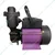 CRI 1 Hp 1Phase Copper Winding Mini Self Priming Monoblock Pump, 35m Head, 25X25mm (MIKI 100) - 1 Year Warranty