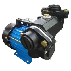 Lakshmi 1 HP Single Phase Self Priming Monoblock Water Pump With Copper Winding, 34M Max. Head - 1 Year Warranty