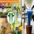 Self Watering Spikes-Adjustable Plant Water Dripper with Slow Release Control Valve Switch(Pack of 15)
