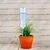 Self Watering Spikes-Adjustable Plant Water Dripper with Slow Release Control Valve Switch(Pack of 15)