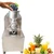 Heavy Duty Stainless Steel Semi Automatic No.18 Juicer Machine with 0.5HP Motor 4.7 Inch Hopper Dia 