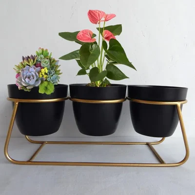 Ecofynd 5 Inch Black Metal Planter - 3 Pot Set with Stand | Modern Style Planter Set for Home Decoration