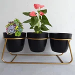 Ecofynd 5 Inch Black Metal Planter - 3 Pot Set with Stand | Modern Style Planter Set for Home Decoration