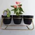Ecofynd 5 Inch Black Metal Planter - 3 Pot Set with Stand | Modern Style Planter Set for Home Decoration