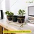 Ecofynd 5 Inch Black Metal Planter - 3 Pot Set with Stand | Modern Style Planter Set for Home Decoration