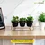 Ecofynd 5 Inch Black Metal Planter - 3 Pot Set with Stand | Modern Style Planter Set for Home Decoration