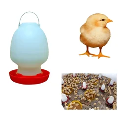 Premium Quality 7L Poultry Water Drinker(Pack-10 pcs)