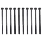 Silencer Bolt (10 Pieces) for 58 CC Petrol Chainsaw, CS 034