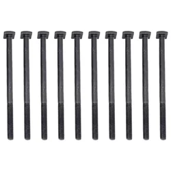 Silencer Bolt (10 Pieces) for 58 CC Petrol Chainsaw, CS 034