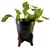 5 Inches Simple and Elegant Metal Planter Pot with Wooden Stand | Used for Home Decoration Purpose