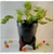 5 Inches Simple and Elegant Metal Planter Pot with Wooden Stand | Used for Home Decoration Purpose