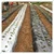 Singhal Premium Mulching Film Sheet 3.28 Feet (1M) x 400 Meter Roll - 20 Micron