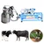 Single Bucket (25L) Milking Machine with 0.5 HP Motor