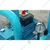 Commercial 20 Liter Single Bucket Milking Machine With Free Accessories