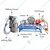 Single Bucket (25L) Milking Machine with 3 HP Motor and HTP Pump
