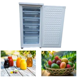 Celfrost 150L Single Door Standing Freezer, BFS 150 with 3 years Warranty