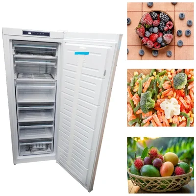 Elanpro EFS 245 Single Door 26L Stading Model Freezer for Medicine, Drinks, Snacks Storing and Good Fit for Retail Store