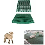 500kg Capacity Slatted Goat Flooring, 2x2 sq. feet Size