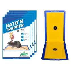 Green Revolution 11 x 33 cm Small Rat Trap/ Mouse Glue Trap for Home, Kitchen, Garage, Warehouse, etc.(Quantity-Pack of 5)