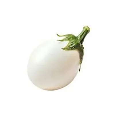 GEBDINSH Small White Brinjal Seeds with High Germination Rate for Home Kitchen Garden and Terrace Farming