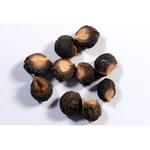 Sapindus Emarginatus ( Soap Nut ) Tree Seeds