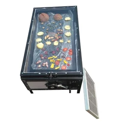 RUDRA Double UV Layered-2 Tray Modular Solar Dryer with 5 kg Loading Capacity With 1 year Warranty | Used to Remove Moisture from Food Items