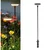GIGAWATTS GW-241 8 LED Solar Garden Light 2V Panel BIS Approved 800mAh Ni-MH Battery for Yard, Lawn, Walkway(Warm White)