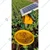 Solar Insect Light Trap with Single Stand