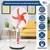 Gigawatts HYD-SF916A 20W Solar Powered Pedestal Fan 16” Portable and Quiet with High Power Air Delivery (White & Red)