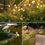 GIGAWATTS GW-911 8 LED Solar Firefly Light with 2V Panel 600mAh Battery BIS Approved Waterproof for Garden, Lawn, Pathway