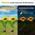 GIGAWATTS GW-917 10 LED Solar Sunflower Light 600mAh Battery BIS Approved with 2V Panel for Garden, Pathway, Outdoor