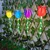 GIGAWATTS GW-909 6 LED Solar Tulip Garden Light 600mAh Battery 2V Panel Waterproof Outdoor Lamp for Pathway, Walkway 