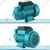 Heavy Duty 12V 200W Battery Operated Monoblock Water Pump for Garden, Lawn, Irrigation System Lake & Fountain