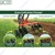Global Nature Agro Single Wheel Harrow, With 3x3 Disc Harrow Attachment For Planting Various Crops, GNSWH-801-2