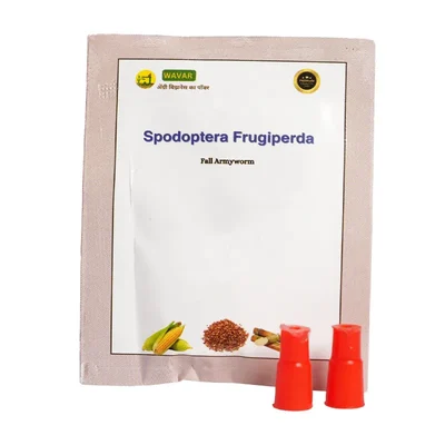 WAVAR Spodoptera Frugiperda Lure (Fall Army Worm) | 2 Lures  Per Packet(Quantity-5 packets)