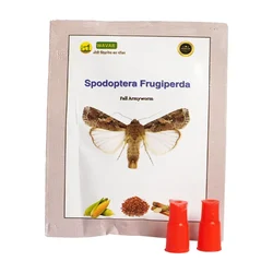 WAVAR Spodoptera Frugiperda Lure (Fall Army Worm) | 2 Lures  Per Packet(Quantity-5 packets)