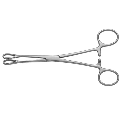 ConXport Sponge Holding Forceps, Straight 6 Inch, Surgical Grade Stainless Steel, Medical Sponge Clamp Instrument