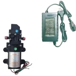 Premium Quality Accessories Kit with 4LPM Single Motor Pump and 1.7 A Charger for all types of Battery Sprayer