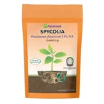 FARMROOT Spycolia Pseudomonas fluorescens 1.0% W P Fungicides | 1 Kg